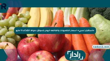 «استقرار نسبى» أسعار الخضروات والفاكهة اليوم بأسواق دمياط الثلاثاء 13 مايو